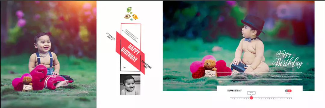 Birthday Album 12 x 36 Designs ideas